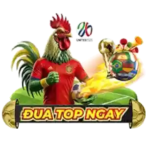 Top player promotion