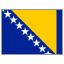 Bosnia and Herzegovina flag