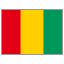 Guinea flag