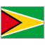 Guyana flag