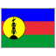 New Caledonia flag