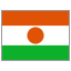 Niger flag