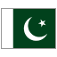 Pakistan flag