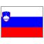 Slovenia flag